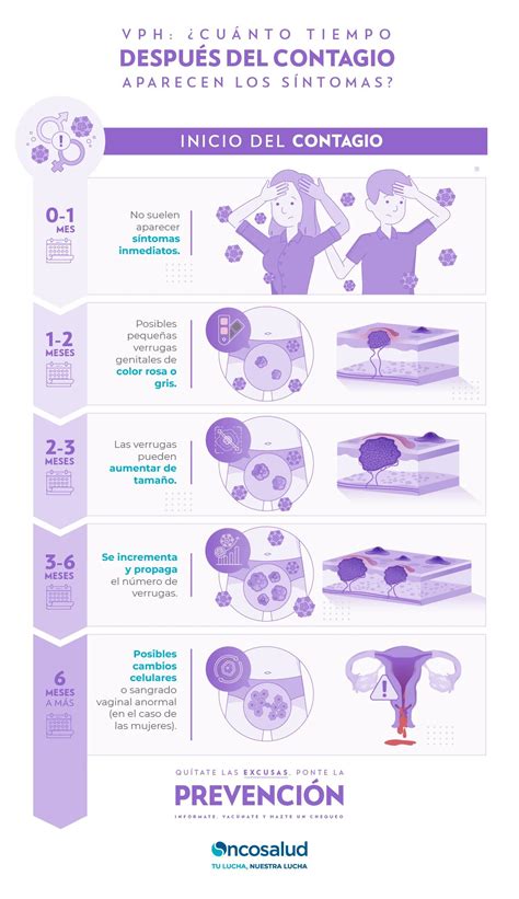 Papiloma Humano en Mujeres: Lo Que Debes Saber