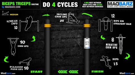 Programme Biceps 的图像结果