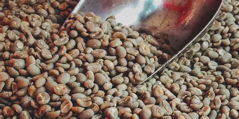 Image result for Java Sumatra Coffee Beans