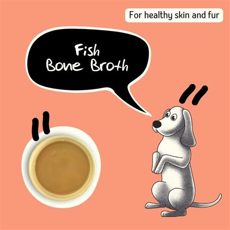 Buy Fish Bone Broth in India at Best Price - Zop by Shiprocket