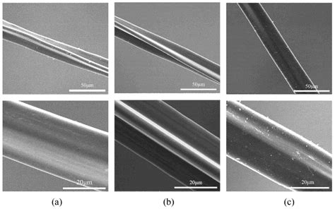 Resveratrol-Loaded Diacetate Fiber by Supercritical CO2 Fluid Assisted ...