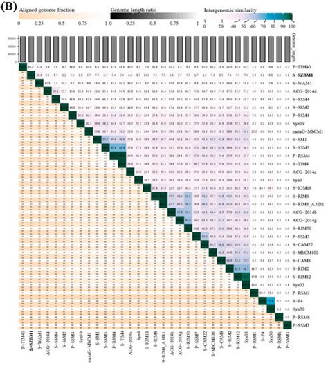 Isolation and Characterization of a Novel Cyanophage Encoding Multiple ...