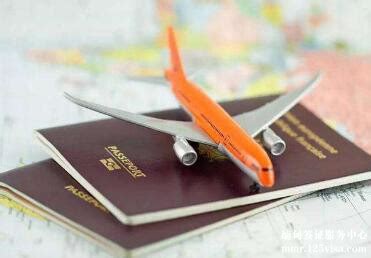 缅甸旅游签证案例,缅甸旅游签证办理流程 -办签证，就上龙签网。