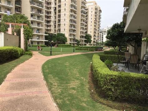 yoga classes in sector 57 gurgaon