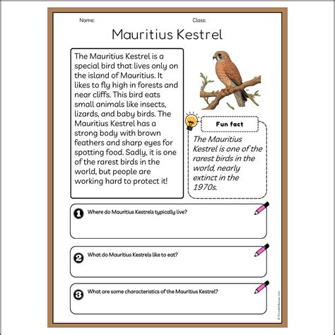 Mauritius Kestrel | Reading Passage Comprehension Questions Writing Fa ...