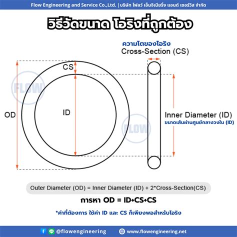 O-Ring Measurement Guide: How to Accurately Measure an O-Ring