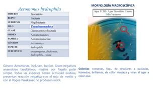 Image result for Example Email for Computing Lesson Year 3