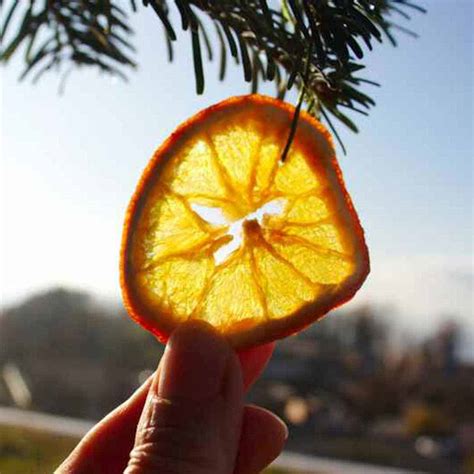 How to Dehydrate Orange Slices: (plus 11 Ways Using them ...