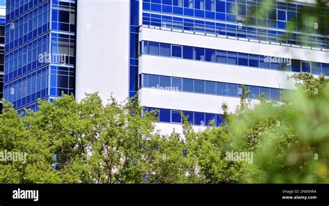 Eco architecture. Green tree and glass office building. The harmony of ...