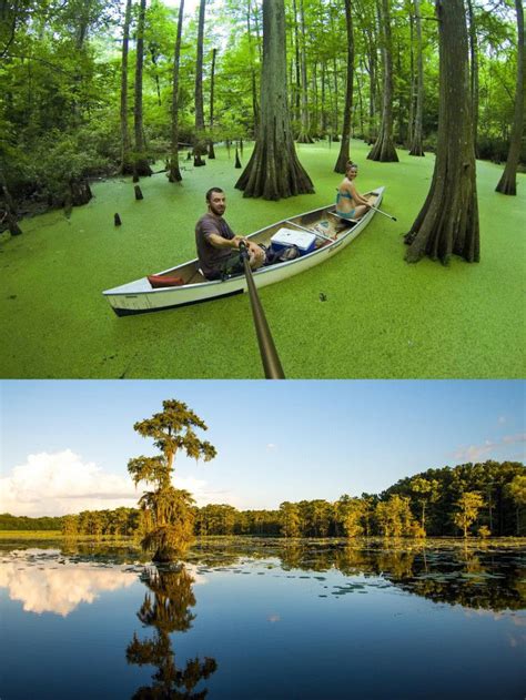 Louisiana State Campgrounds: Find Your Perfect Spot
