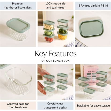 Groovo Transparent Food Storage Container Set Of 6 310ml Online ...