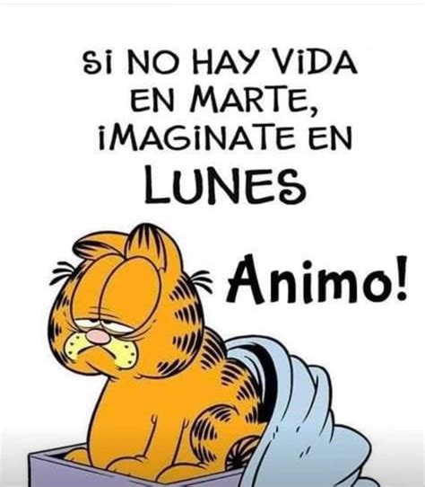 Pin de Melissa en Buenos días y algo más | Feliz lunes gracioso ...