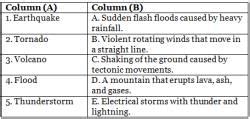 Natural Calamities - 2 Class 5 Worksheet Science