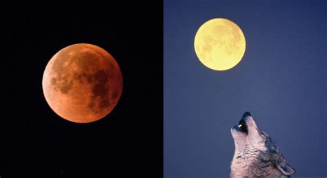 Wolf Moon Illumination | Wolf Moon 2025: When and how to see it, peak ...