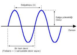 SES, DALGA VE SİNÜS