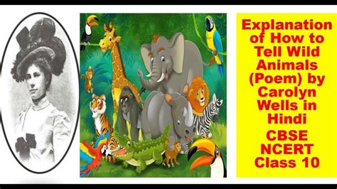 How to Identify Wild Animals Q&A Guide