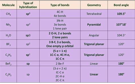 Hybridization Chart With Lone Pairs