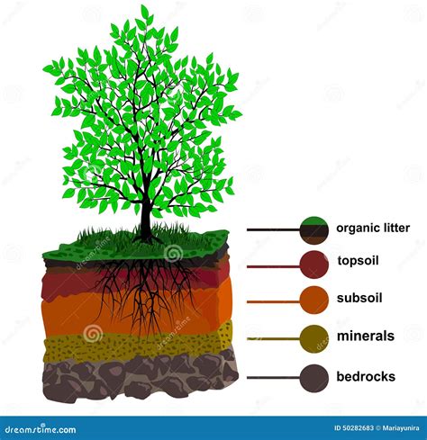 Soil Cartoons, Illustrations & Vector Stock Images - 657460 Pictures to ...