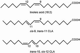 Image result for conjugated linoleic