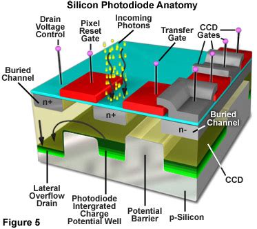 Microscope Image Processing 的图像结果