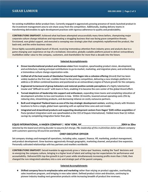 C level executive resume example – Artofit