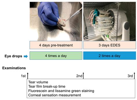 The Effects of Rebamipide 2% Ophthalmic Solution Application on Murine ...