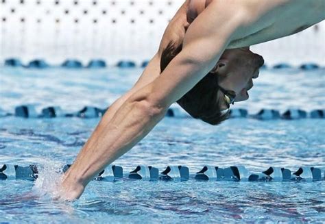 Michael Phelps vs Shark: Only 21% chance of GOAT winning? Here are 7 ...