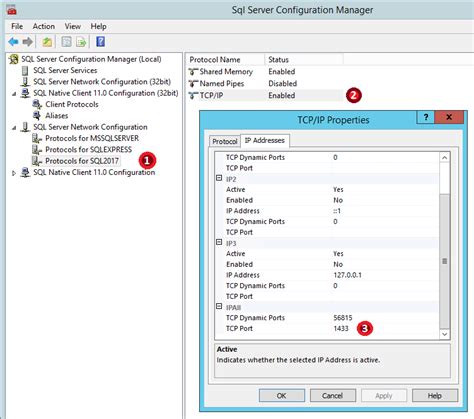 Image result for Apache NetBeans IDE SQL Table Connection
