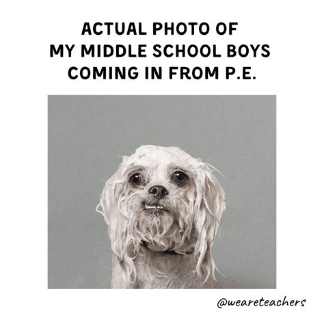 19 Memes Capturing the Reality of Teaching Middle School