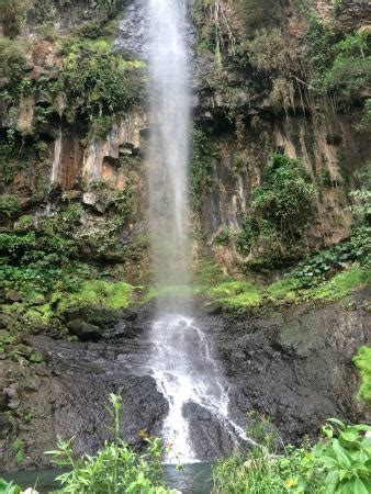 THE BEST Tequila Hotels with Outdoor Pool 2023 (Prices) - Tripadvisor