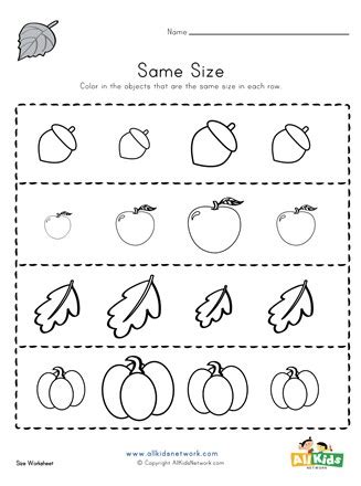 Same Size Worksheet 的图像结果