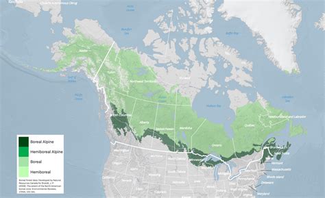 Boreal Forests of North America are Shrinking - Geography Realm