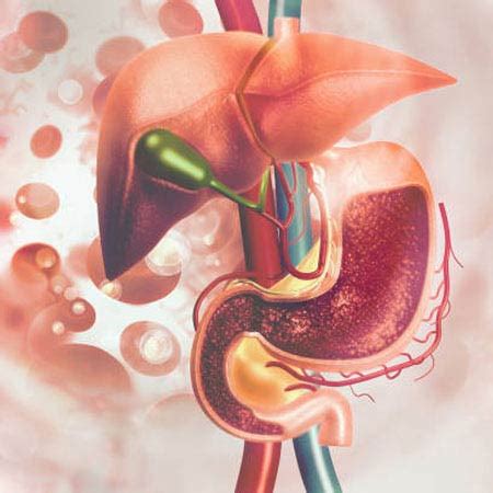 Gastroenterologist in Vijayawada | Best Gastric Hospitals in Vijayawada