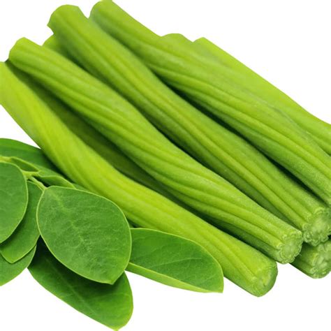 Plants Native to Indian subcontinent – Lalit Enterprise