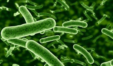 India lags behind in tackling antibiotic resistance