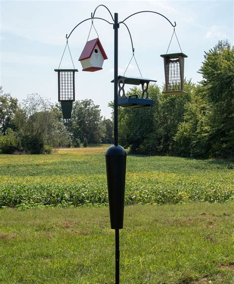 Tall Bird Feeder Pole Squirrel Proof at Alexander Jarrett blog
