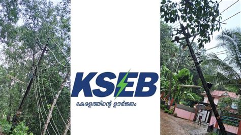 വൈദ്യുതാഘാതമേറ്റ് മരണം കൂടുന്നു; അതിരാവിലെ പുറത്തിറങ്ങുന്നവര്‍ തികഞ്ഞ ...