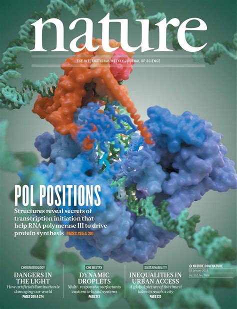 RNA Polymerase Structure 的图像结果