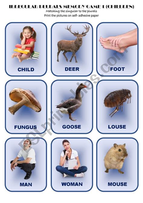 MEMO GAME "IRREGULAR PLURALS" - ESL worksheet by Aisha77