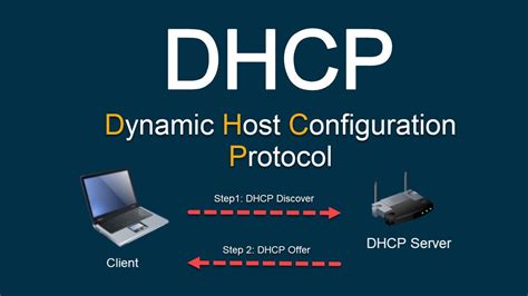 Dynamic Host Configuration Protocol 的图像结果