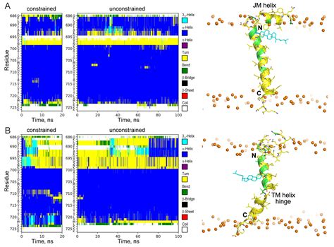 Diverse Interactions of Sterols with Amyloid Precursor Protein ...