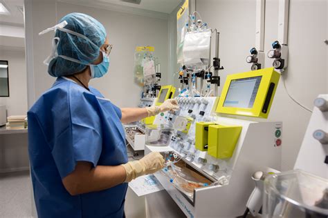 ¿Se puede mejorar la inmunoterapia contra el cáncer?