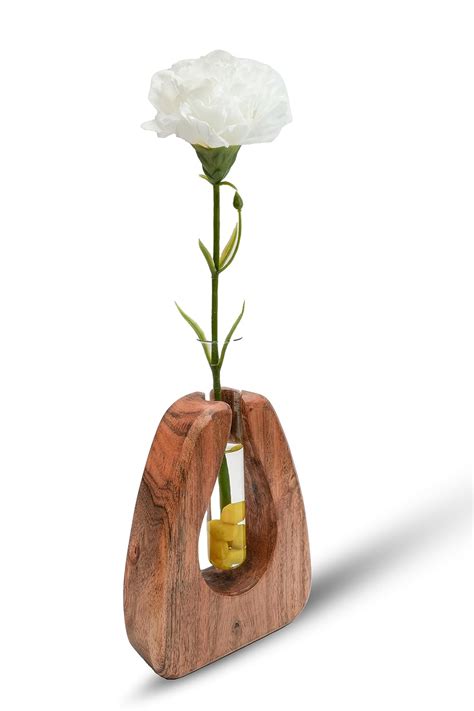 MINSAR DESIGNS Sustainable Wooden Indoor Test Tube Planter (4.9”x6.2 ...