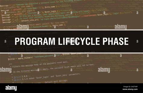 Image result for Programming Phase