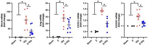 Zileuton Attenuates Acute Kidney Injury in Glycerol-Induced ...