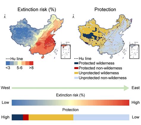 New study unveils hidden extinction crisis in China's plant life, highlighting urgent ...