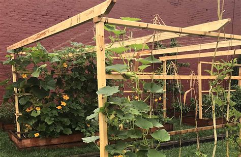 Trellis For Garden Bed at Jody Featherston blog