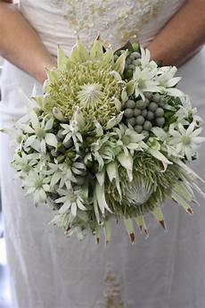 Australian Wedding Flowers by Australian Bouquet Flowers Of Sydney Australian Wedding Flowers