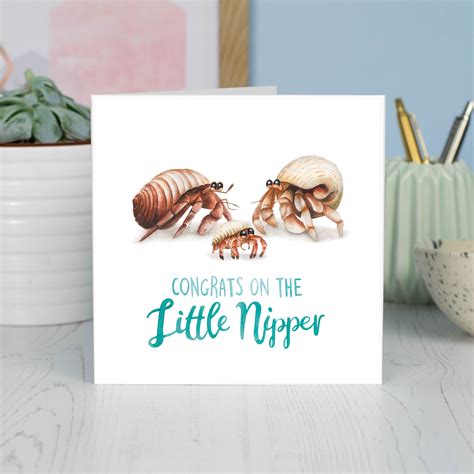 Cute Hermit Crabs Names