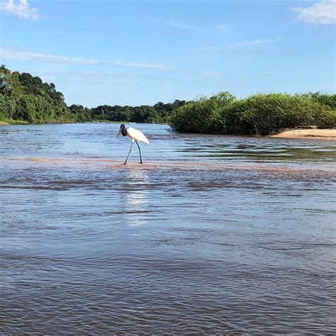 JAGUAR ECOTOURISM (2026) All You Need to Know BEFORE You Go (with ...